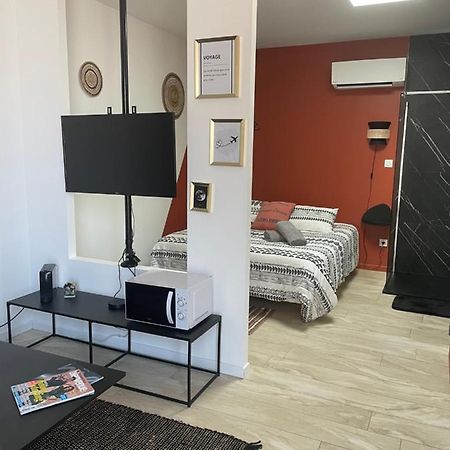 Studio Cosy Tt Confort Proche Aeroport Colombier-Saugnieu Eksteriør billede