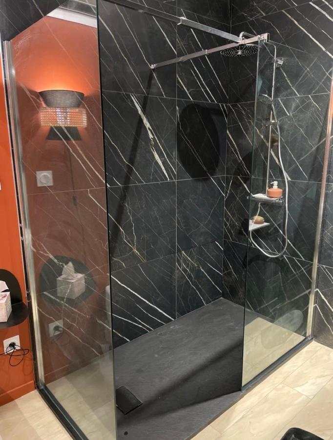 Studio Cosy Tt Confort Proche Aeroport Colombier-Saugnieu Eksteriør billede