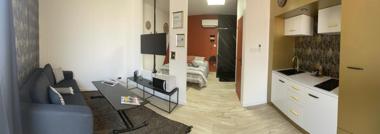 Studio Cosy Tt Confort Proche Aeroport Colombier-Saugnieu Eksteriør billede